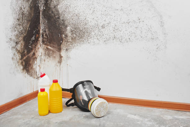 Crawl Space Mold Removal in Seat Pleasant, MD