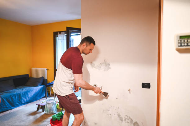 Reliable Seat Pleasant, MD Mold Removal Solutions